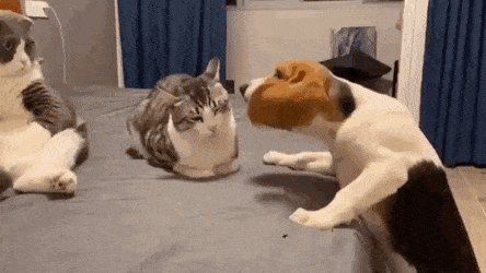 현시각 직장인의 모습.gif | 인스티즈