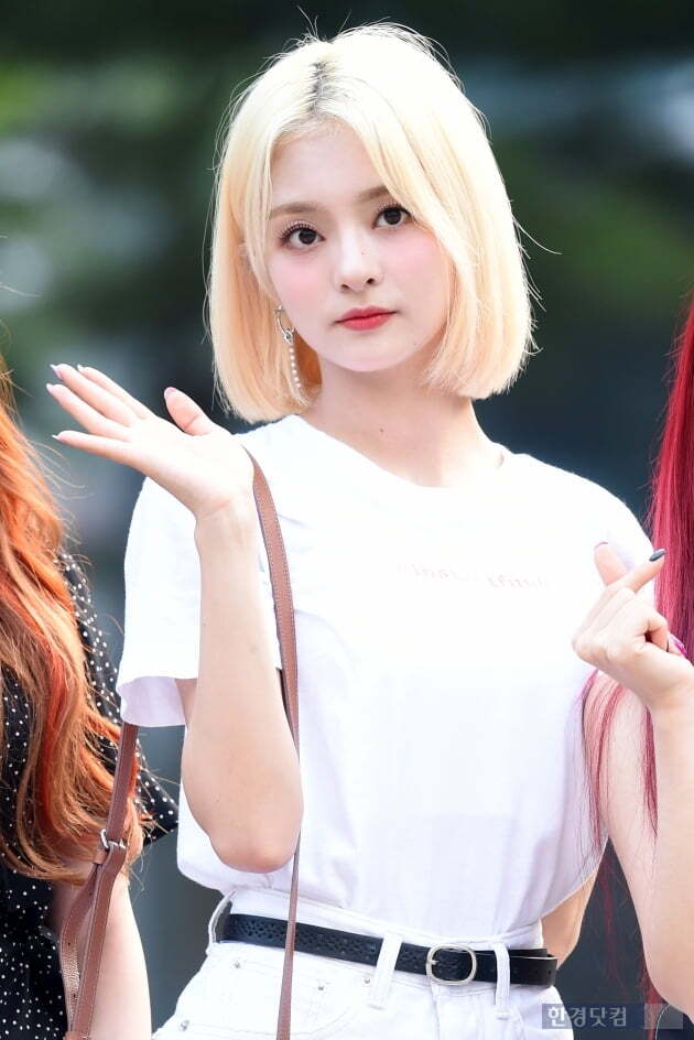 소호나인 이미지