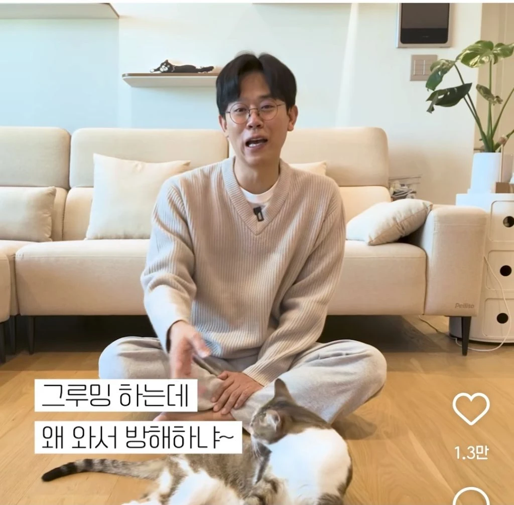 고양이가 그루밍할 때 제 손이 보이면 미친 듯이 핥아줘요. 사랑한다는 뜻일까요? | 인스티즈