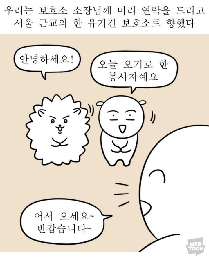 유기견 보호소 주소가 알려지면 안 되는 이유 | 인스티즈