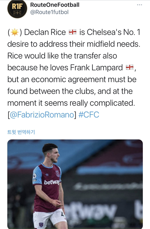 라이스픽 이미지