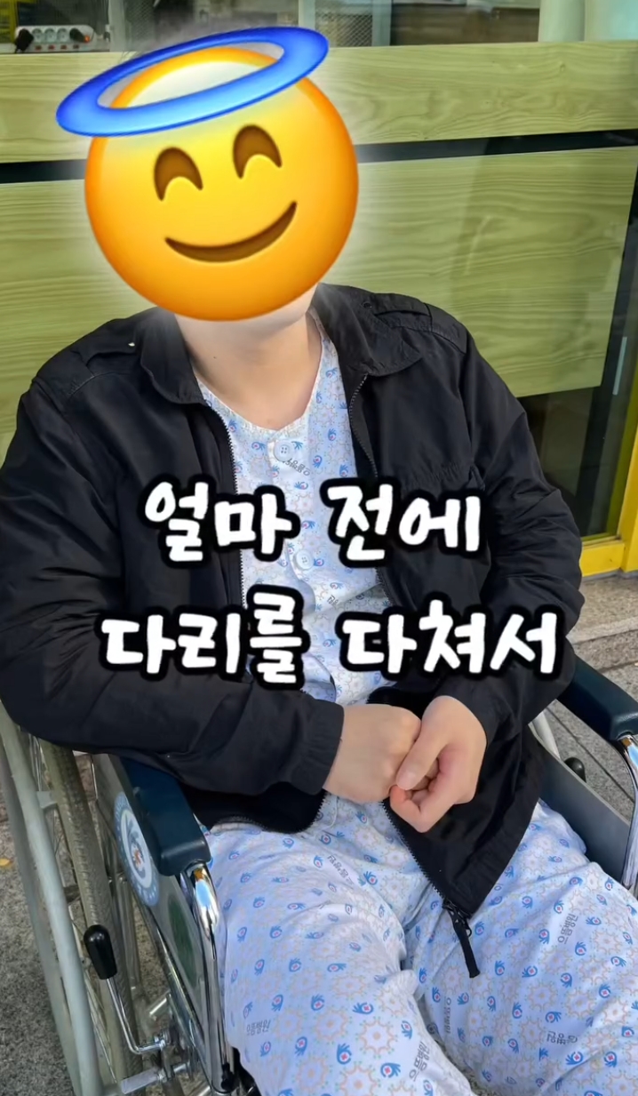 다리 깁스한 집사 약올리는 고양이 | 인스티즈