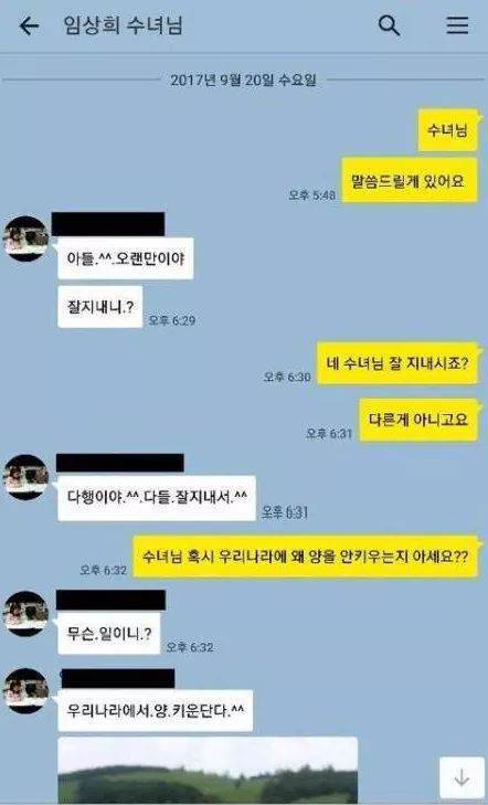 우리나라에서 양을 잘 키우지 않는 이유 | 인스티즈