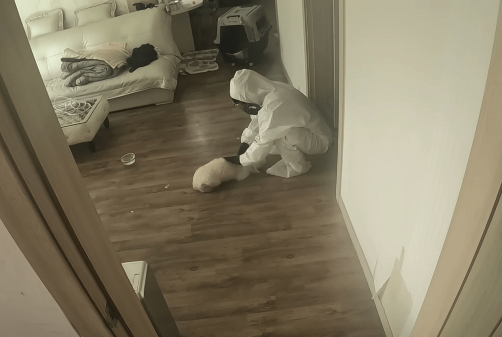 고독사 현장에서 누군가 오기만을 기다린 작은 생명 | 인스티즈