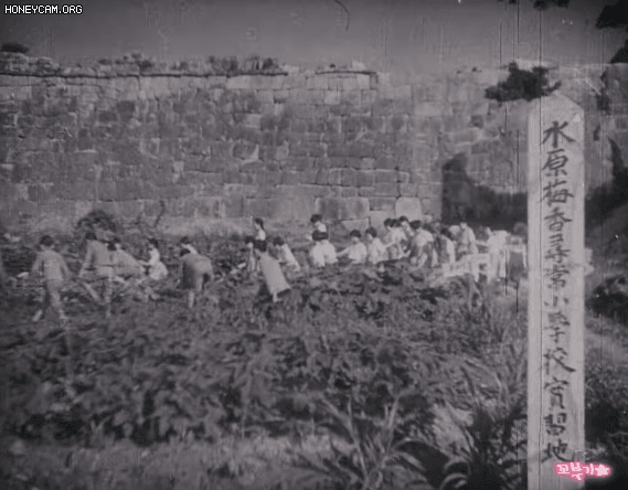 영화로 보는 1940년대 수원 화성 모습.gif | 인스티즈