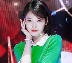 아이유 팬들 사이에서 끊임없이 일어나는 논쟁 | 인스티즈