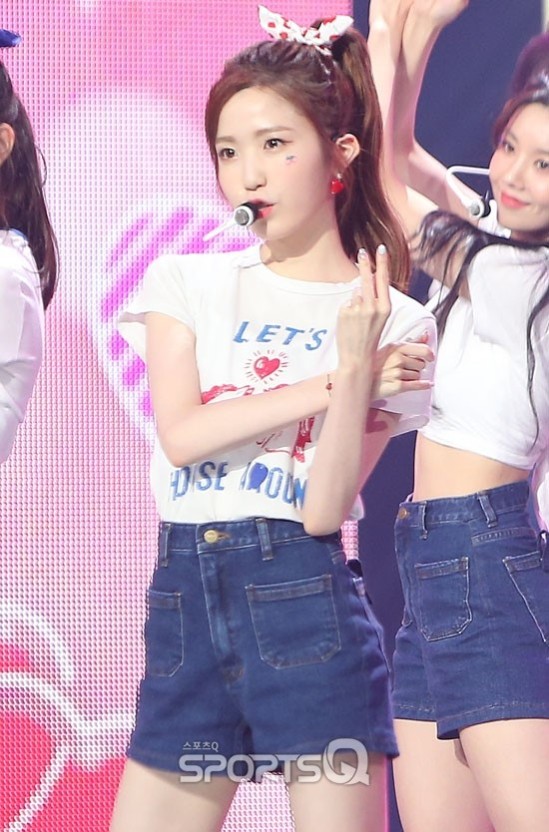그룹퍼즐 이미지