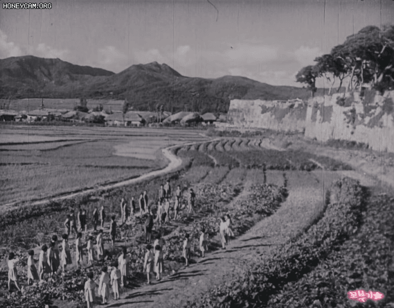 영화로 보는 1940년대 수원 화성 모습.gif | 인스티즈