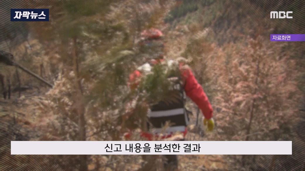 일부러 산에 화염병 던져 산불 낸 방화범 구속 | 인스티즈