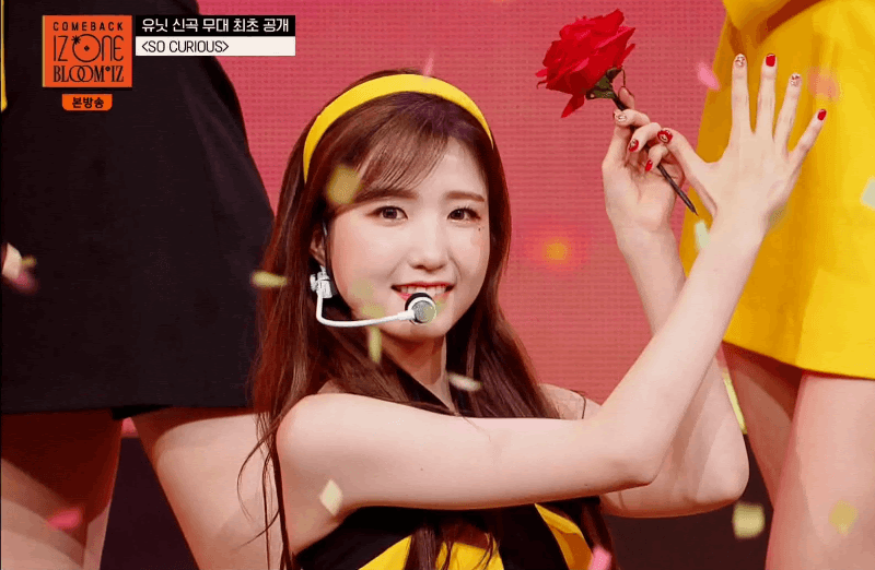 본인이 아이즈원에서 제일 좋아하는 최애 멤버는? | 인스티즈