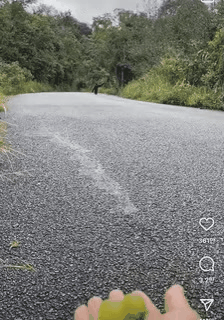 포도 먹으러 달려오는 새끼 베놈.gif | 인스티즈