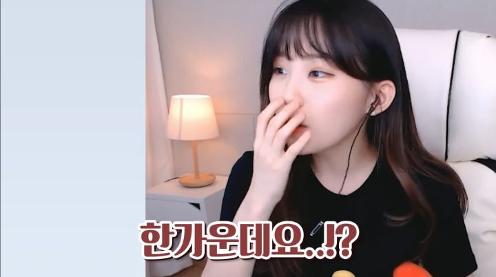 하다하다 바탕화면까지 파는 스트리머 우정잉.jpg | 인스티즈