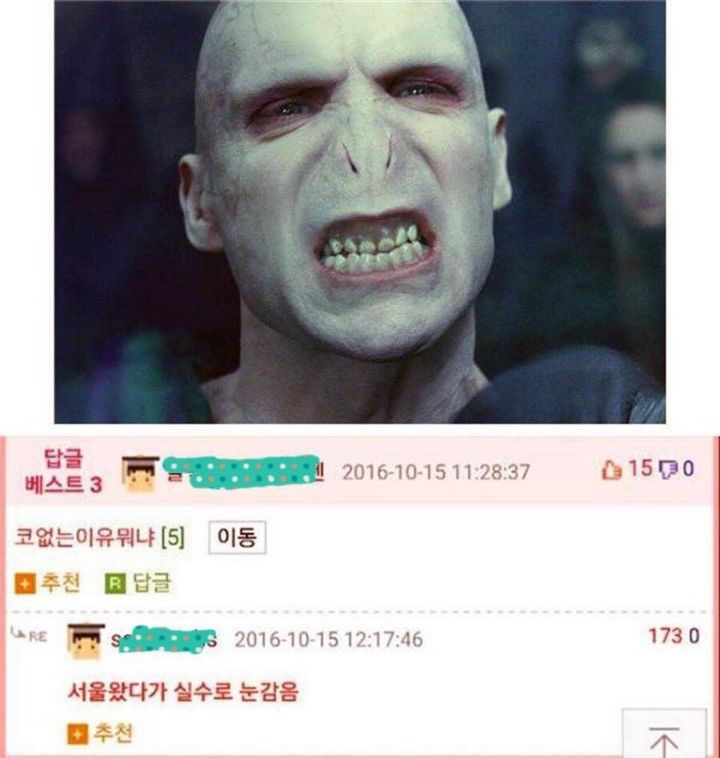 볼드모트가 코가 없는 이유 | 인스티즈