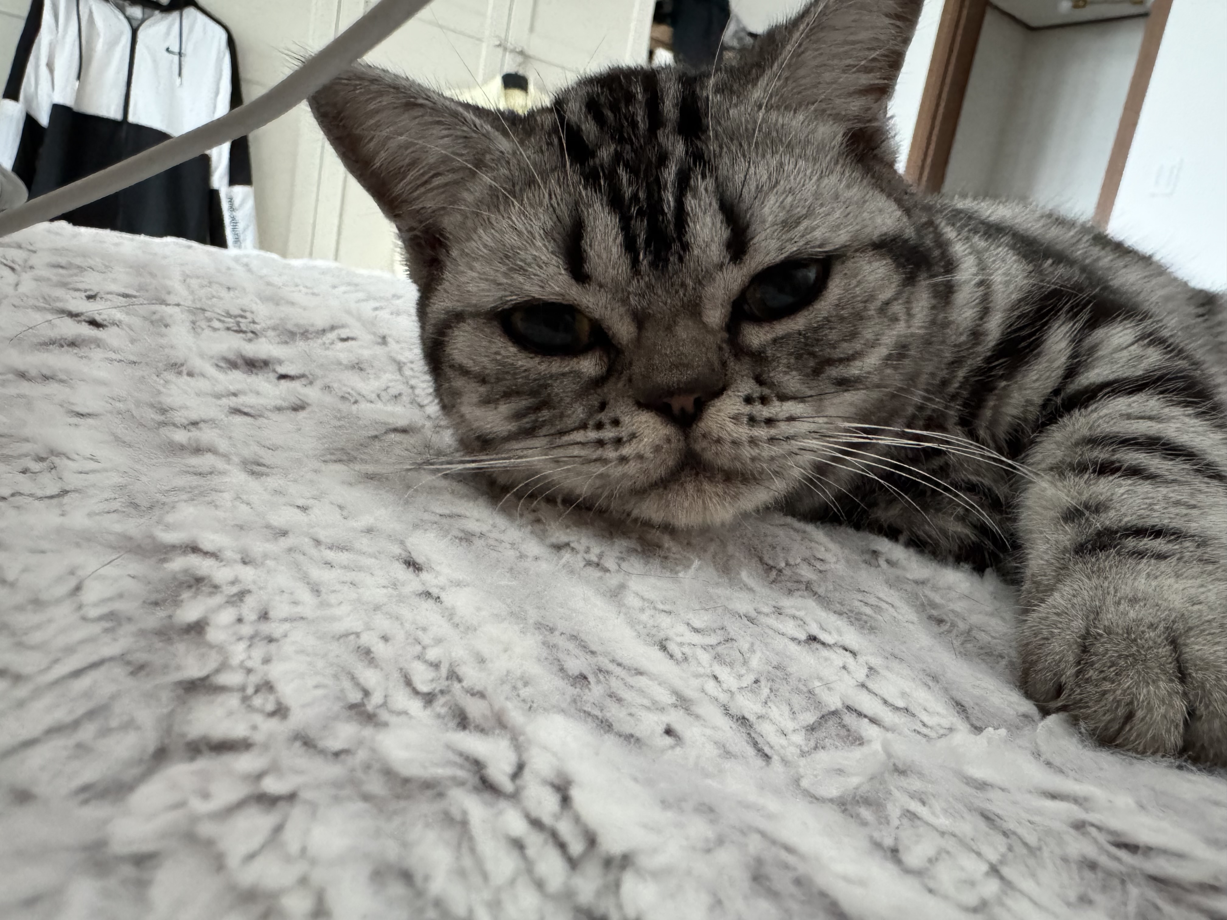 떡.보 이미지