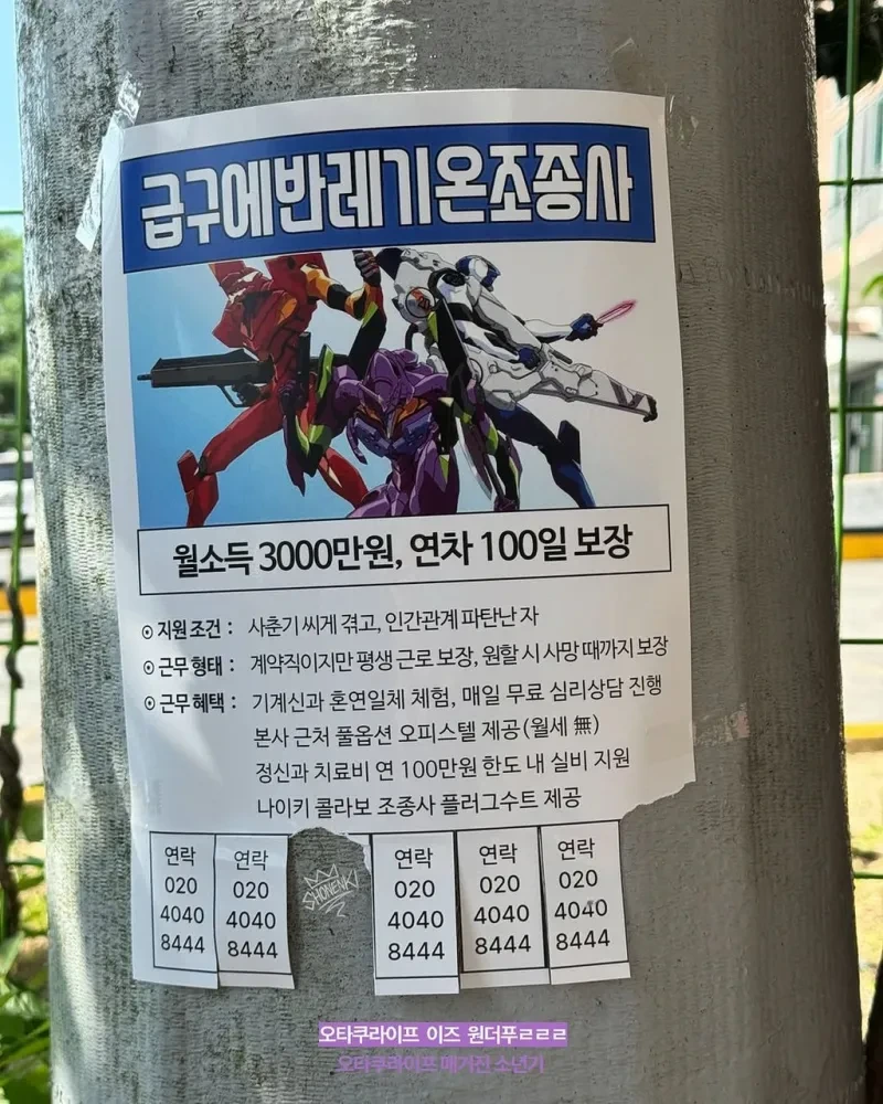 월 3000만원 연차100일 급구 구인글 - ☆ ··· 하프타임 - 樂soccer