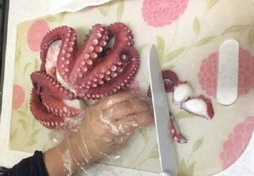 한국 승리 맞췄던 BBC 문어 서튼의 한국 브라질전 예상 | 인스티즈