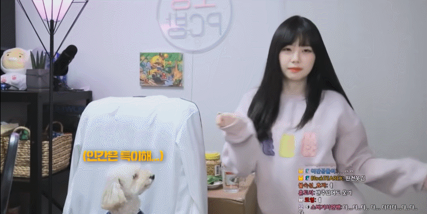 트위치 스트리머 우정잉의 랜덤플레이댄스.gif | 인스티즈