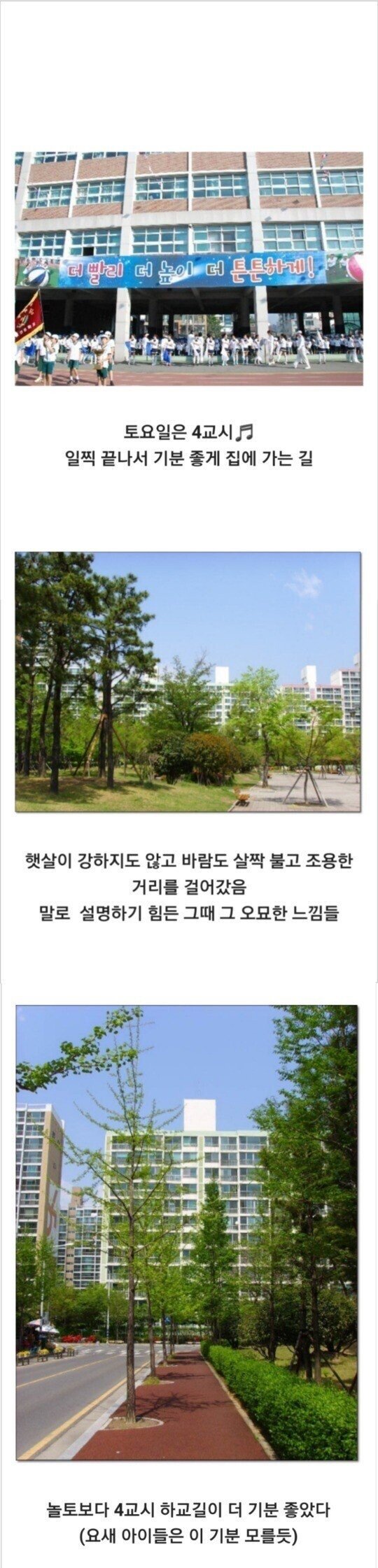 90년대생들의 초등학교 | 인스티즈
