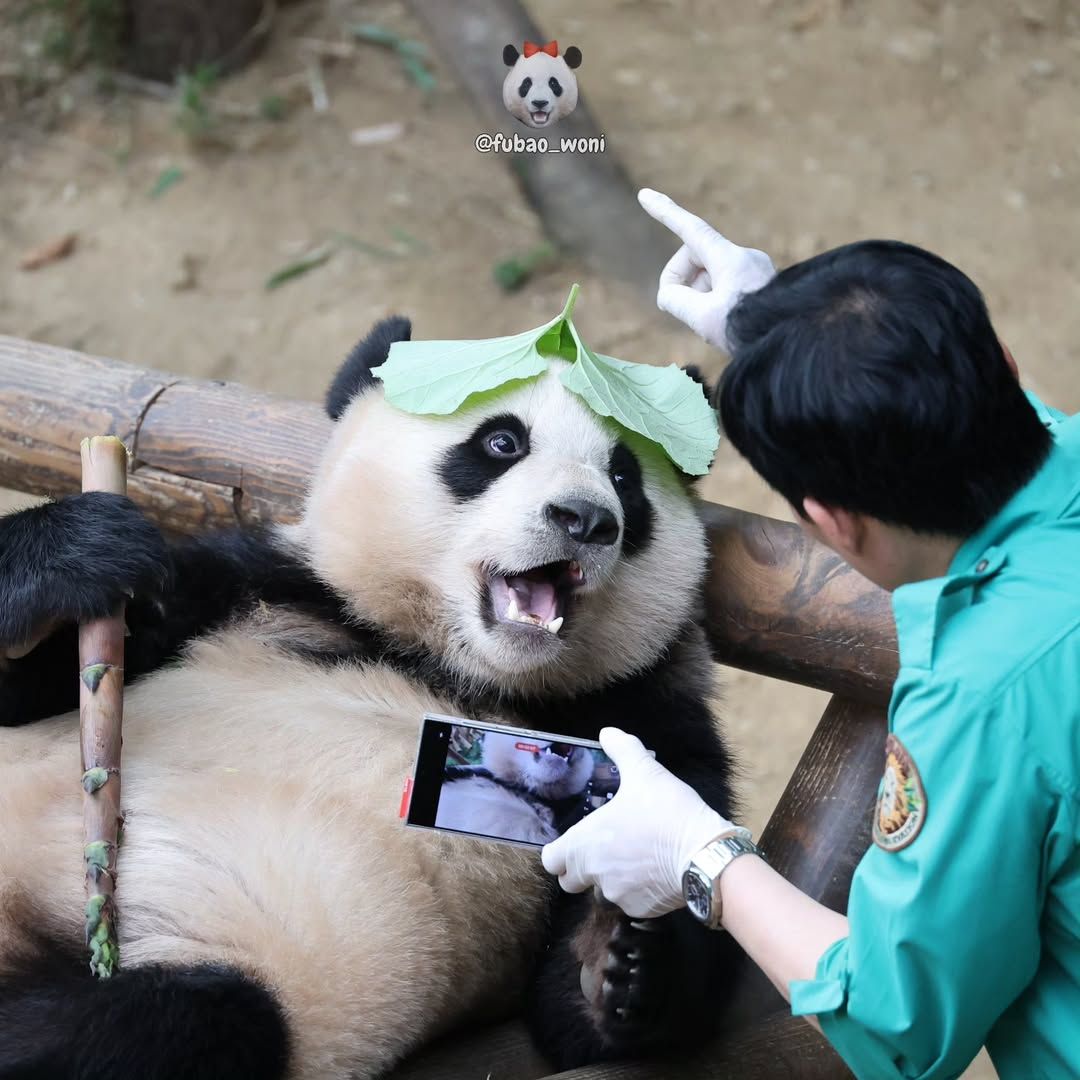 꼬마모자 이미지
