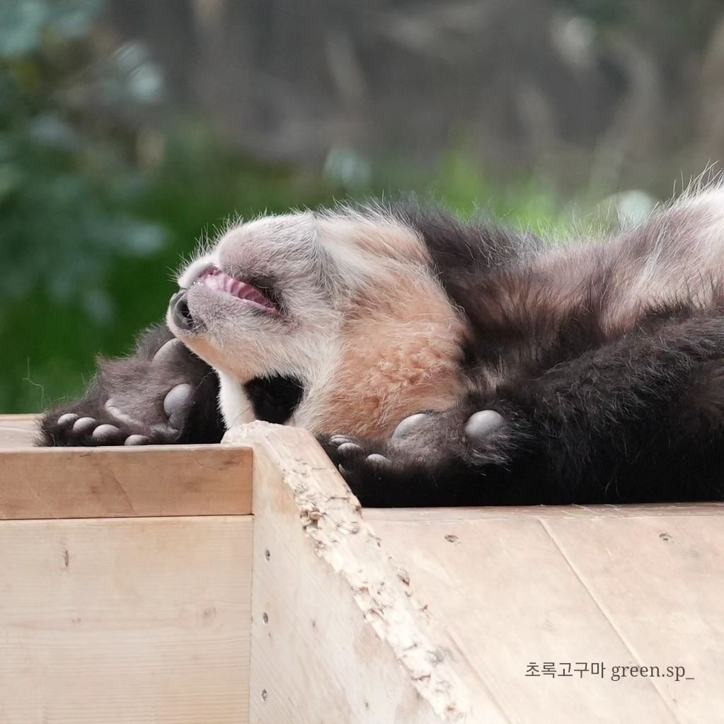 모전여전 이미지