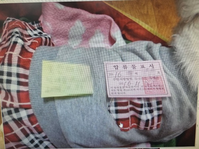 압류 당할 때 반려동물은 어떻게 될까? | 인스티즈