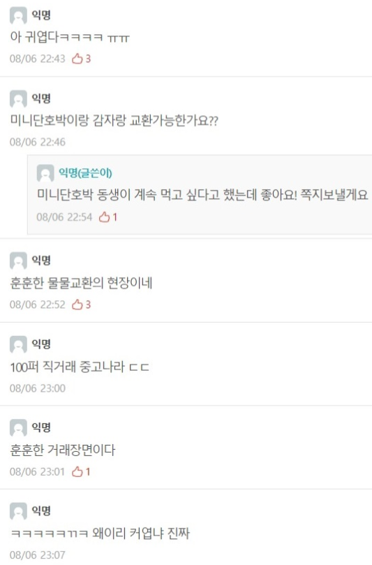 양파, 감자 가지고 있는데 교환 하실 분 구함 | 인스티즈