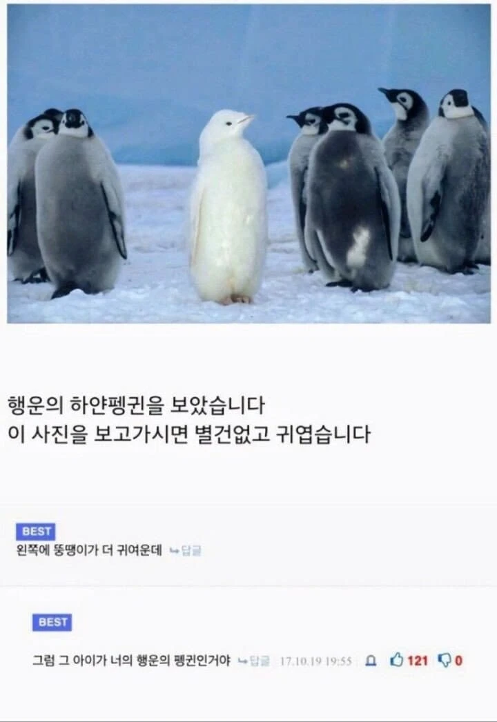 따스해지는 글들 | 인스티즈