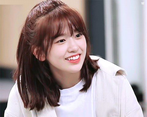 본인이 아이즈원에서 제일 좋아하는 최애 멤버는? | 인스티즈