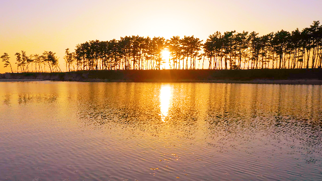 완벽한 가을 여행 코스 여기 있어요 국내 가을 여행 추천 BEST | 인스티즈