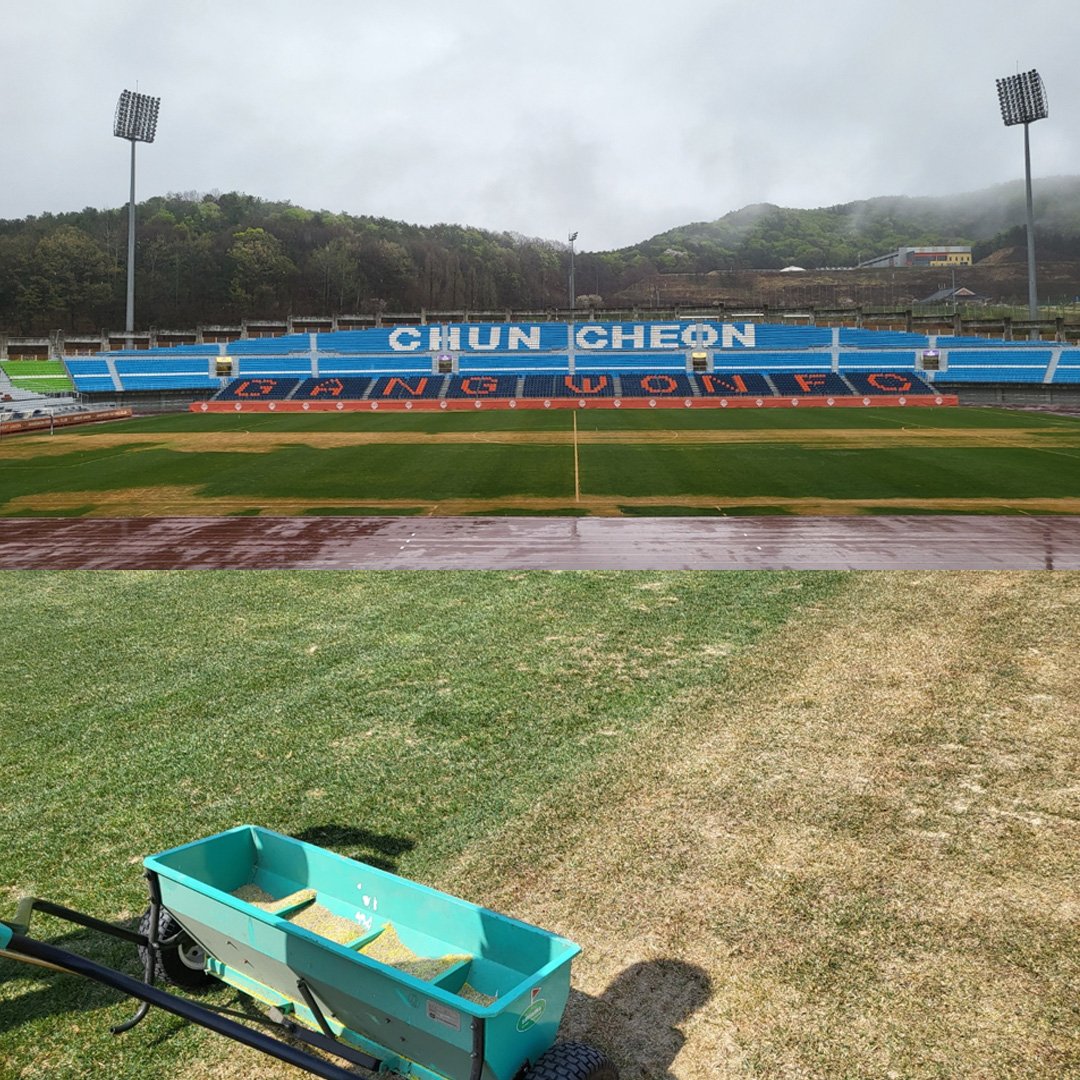 [공홈] 강원, 팬들에게 훼손된 송암 잔디 안내 - ★ ··· 국내토크방 - 樂soccer [공홈] 강원, 팬들에게 훼손된 송암 잔디 안내