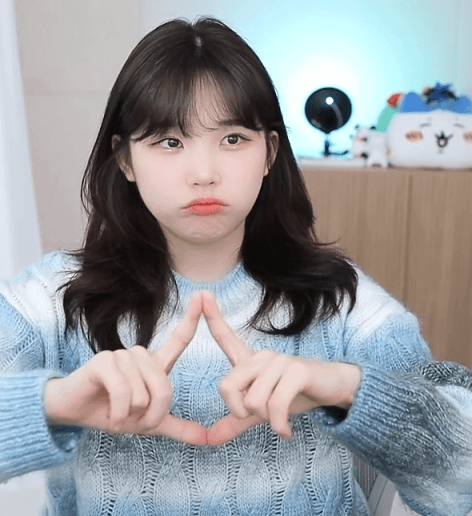 트위치 섭종으로 펑펑 울어버린 우정잉 ㅜㅜ gif | 인스티즈