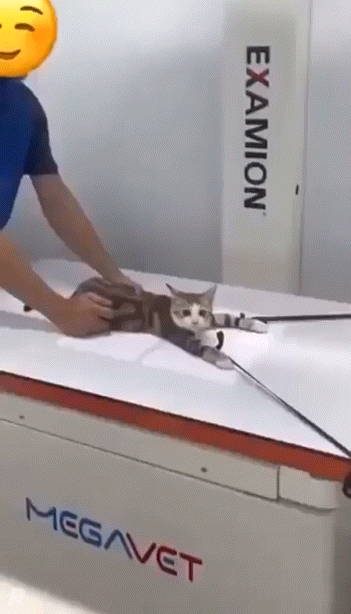 엑스레이 찍는 무해한 고영희.gif | 인스티즈