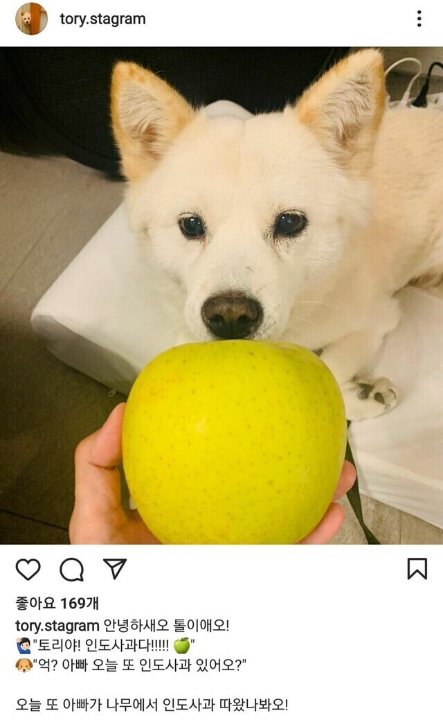 개스타그램 이미지