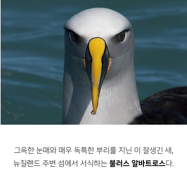 새 이미지