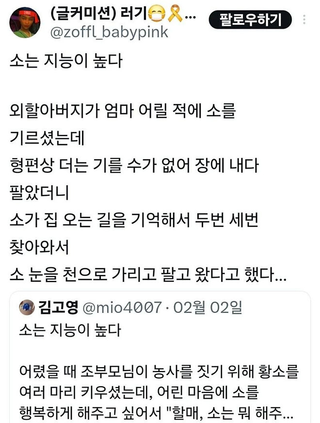 생각보다 지능이 높은 동물.txt | 인스티즈