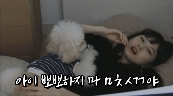 자면서도 할건 다 하는 트위치 스트리머 우정잉...jpg | 인스티즈