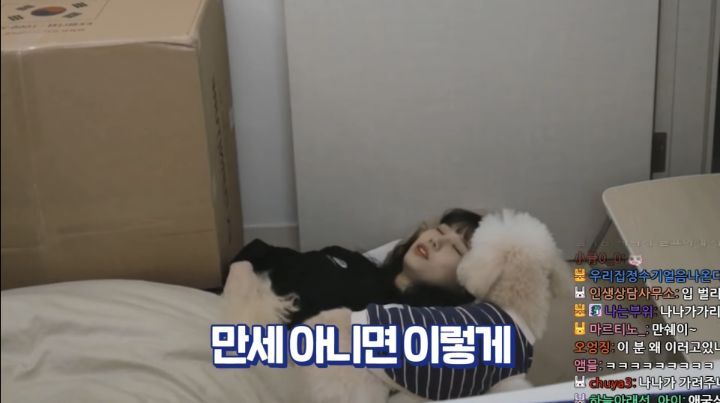 자면서도 할건 다 하는 트위치 스트리머 우정잉...jpg | 인스티즈