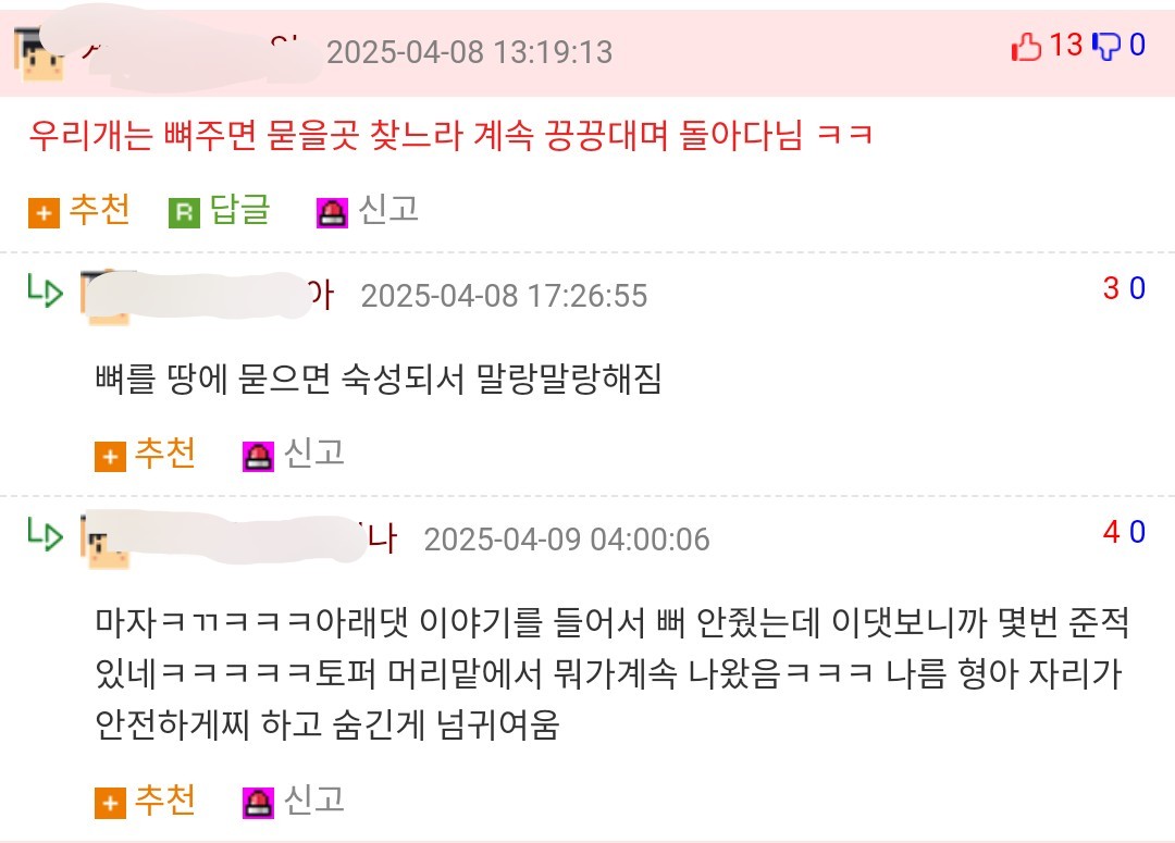 개 키워 본 사람들은 공감하는 것 | 인스티즈