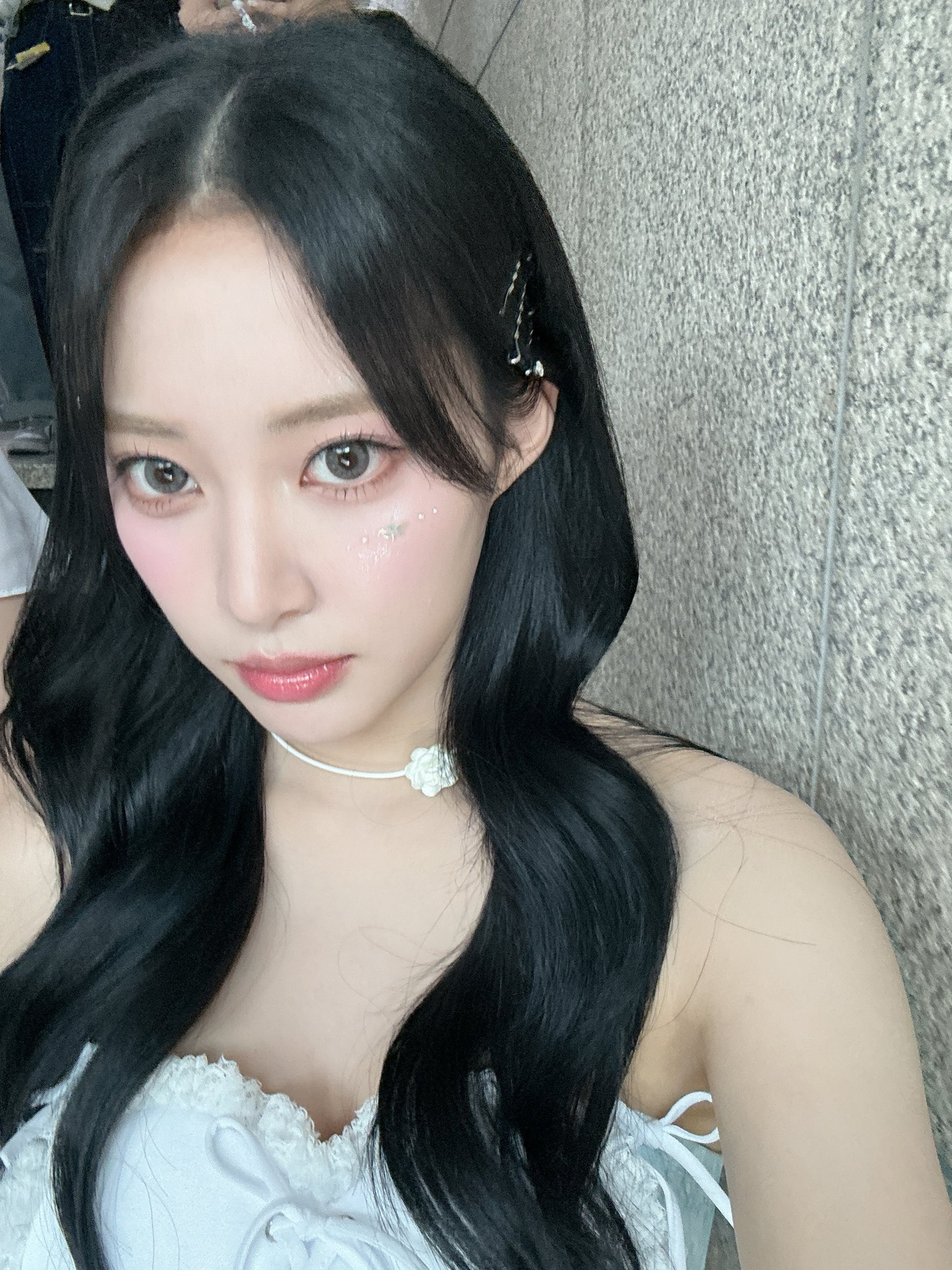 Daum 카페