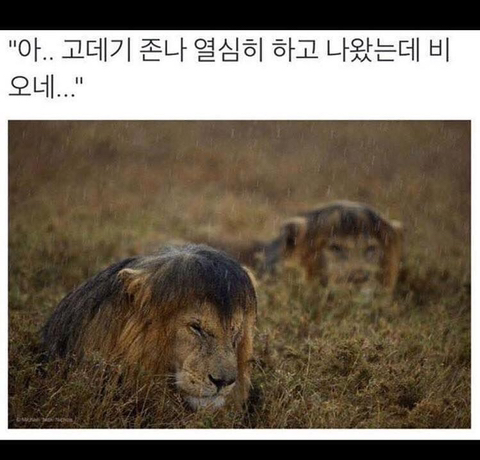공감 이미지