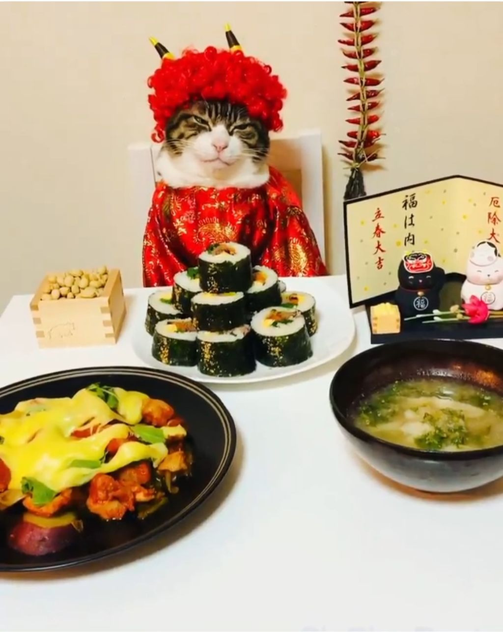 🐱어서오세요 오전에도 운영하는 고등어 식당 입니다~ | 인스티즈