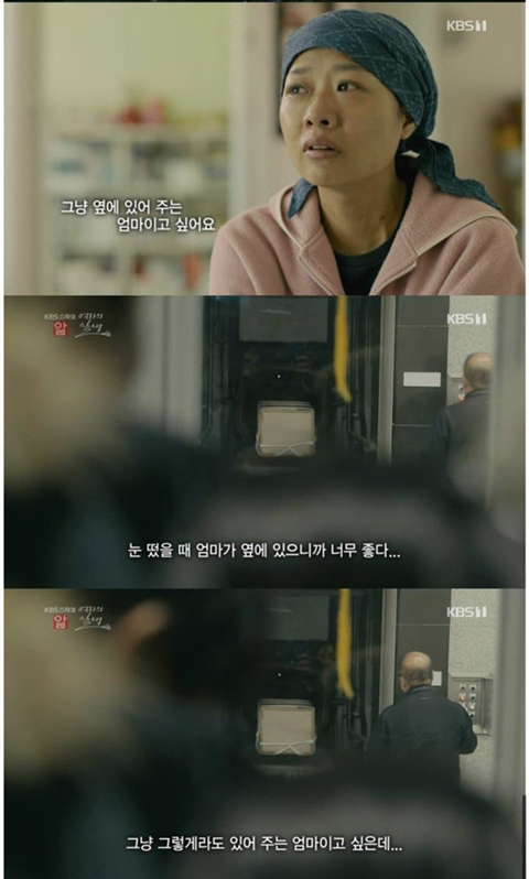 말기암에 걸린 엄마.jpg | 인스티즈