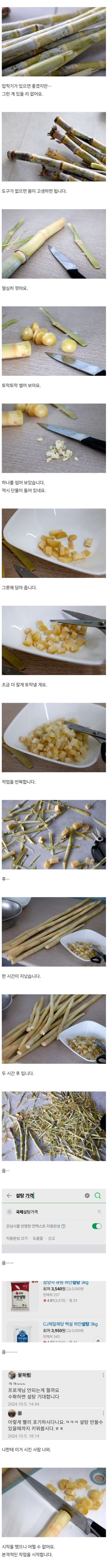 사탕수수로 설탕 짜보기 | 인스티즈