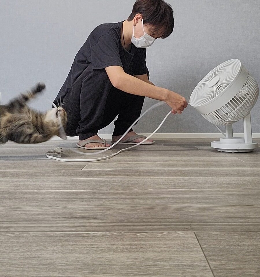 고양이가 전원 케이블 자꾸 물어대서 보호커버 씌우는 중.jpg | 인스티즈