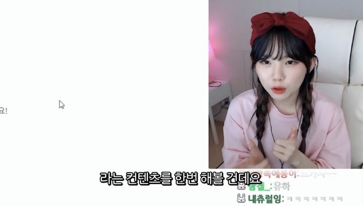 편견 없는 스트리머 우정잉.jpg (feat. 오바메양) | 인스티즈