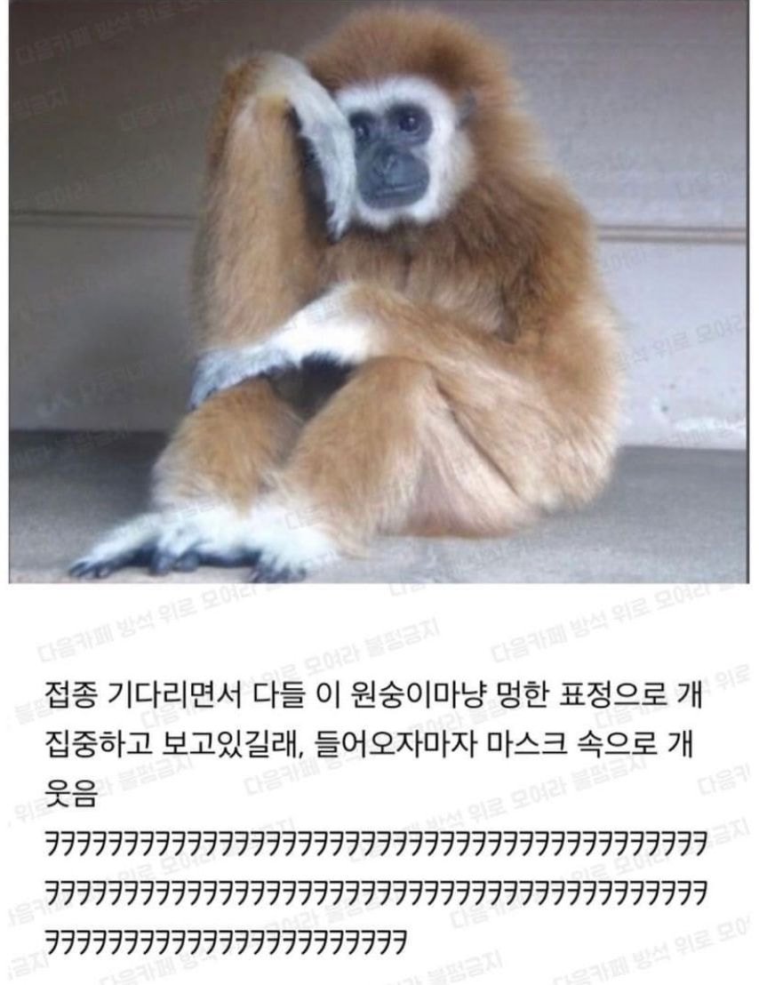 우리소아과 이미지