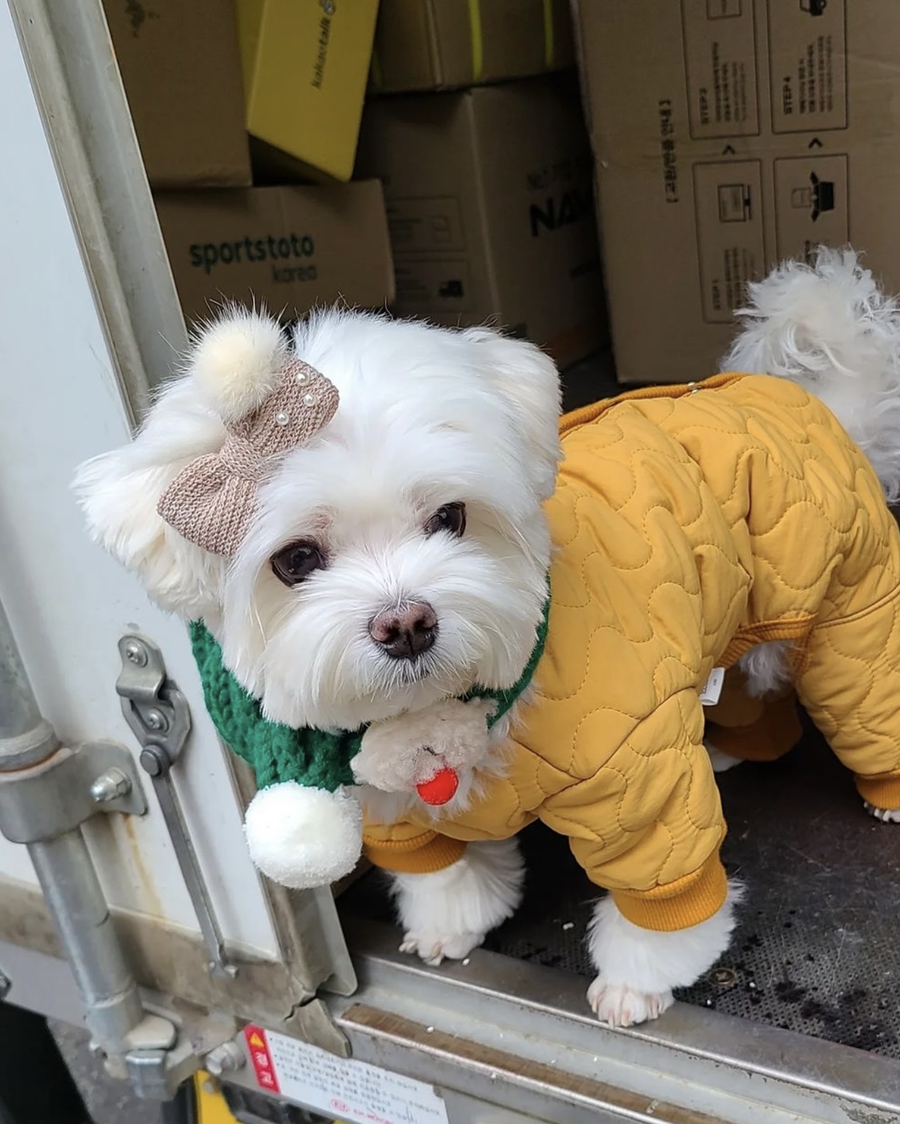 택배견 경태 인스타.jpg | 인스티즈