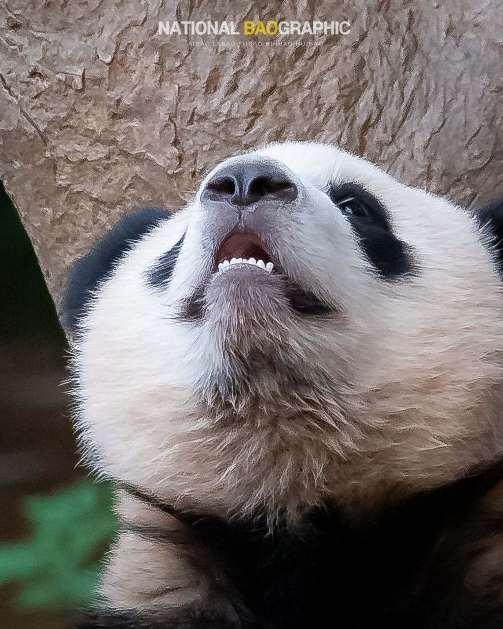 제법 이미지