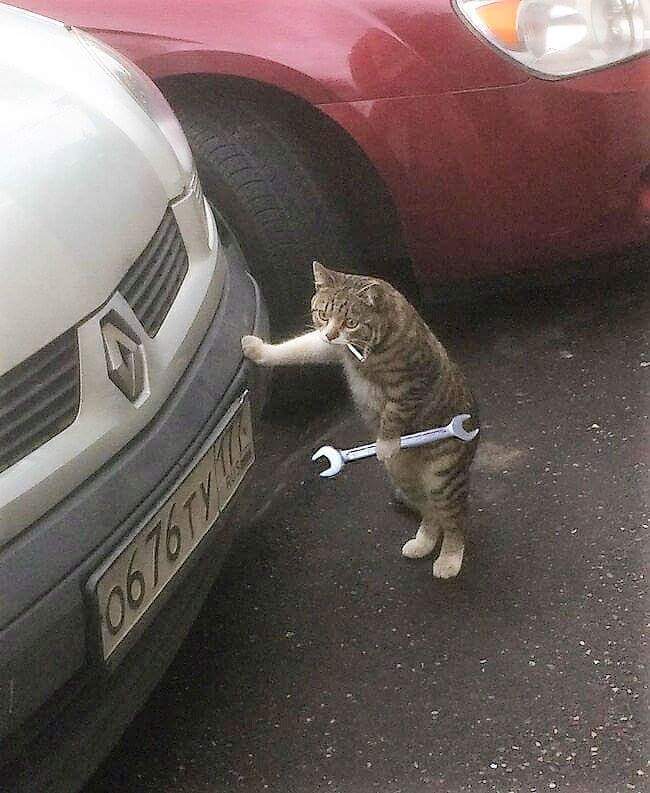 공감 이미지