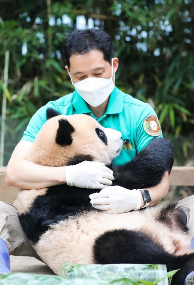 푸바오와 작은할부지 송바오🐼.jpg | 인스티즈